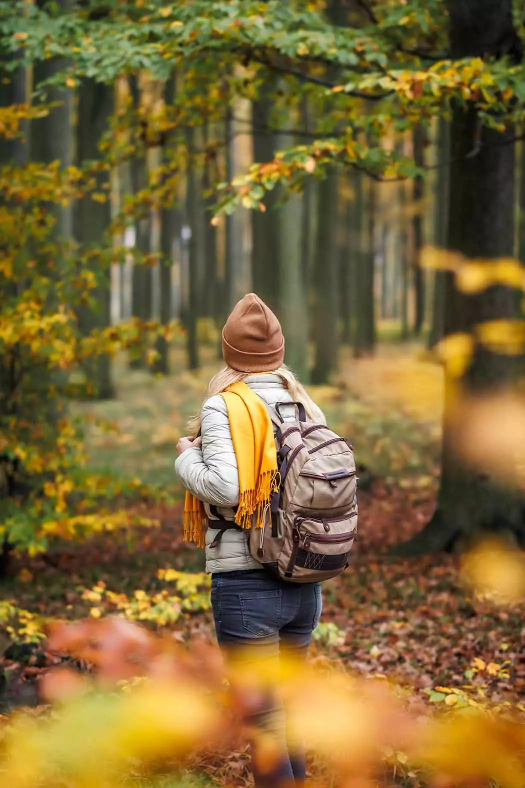 Sentiers automne Saint-Tite-des-Caps