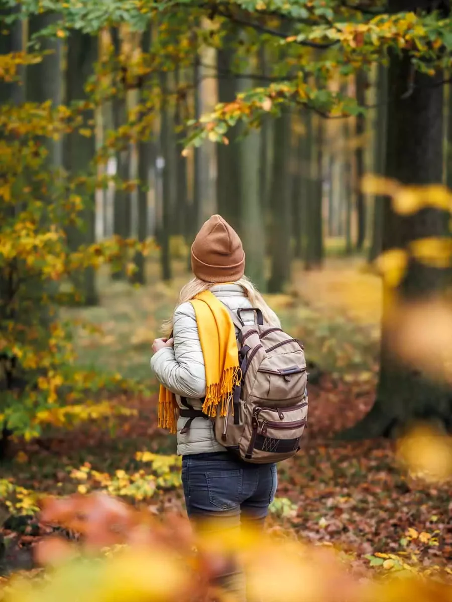 Sentiers automne Saint-Tite-des-Caps